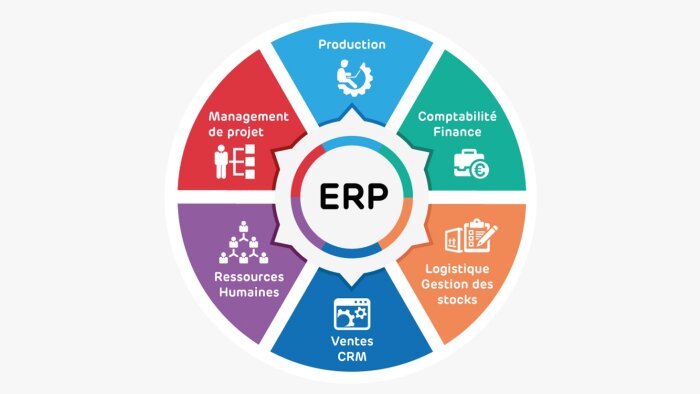 erp projeleri için danışmanlık veririm