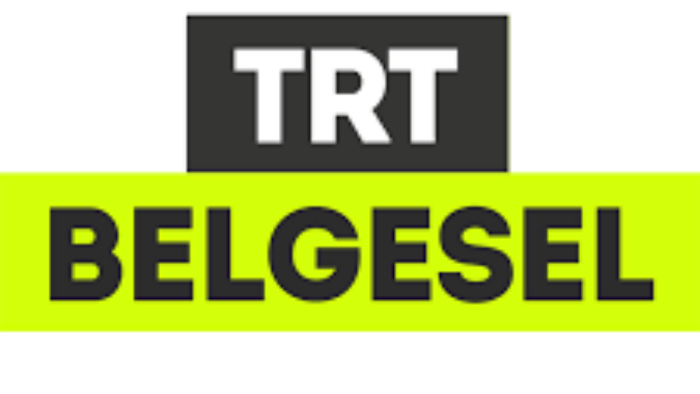 profesyonel seslendirme yapıyorum