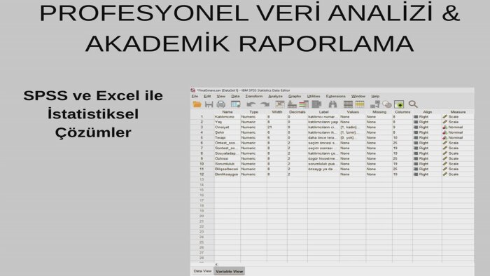 verilerinizi analiz ederek profesyonel rapor sunarım