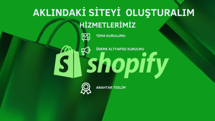 Shopify'da her tür site tasarımı hizmeti veriyorum