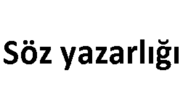 istenilen tarzda söz yazabilirim, besteleyebilirim