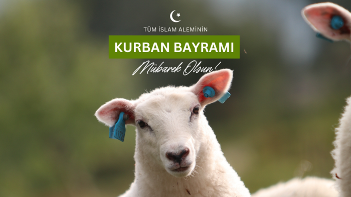kurban bayramı postlarınızı hazırlarım