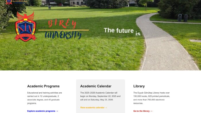 profesyonel web tasarımı yapabilirim