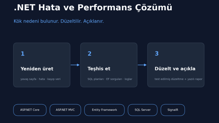 yavaşlayan/hata veren .NET web uygulamanızı düzeltebilirim