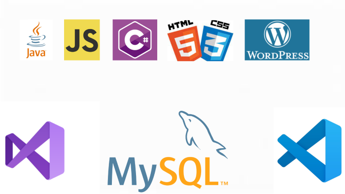 size özel web sitenizi yapabilirim