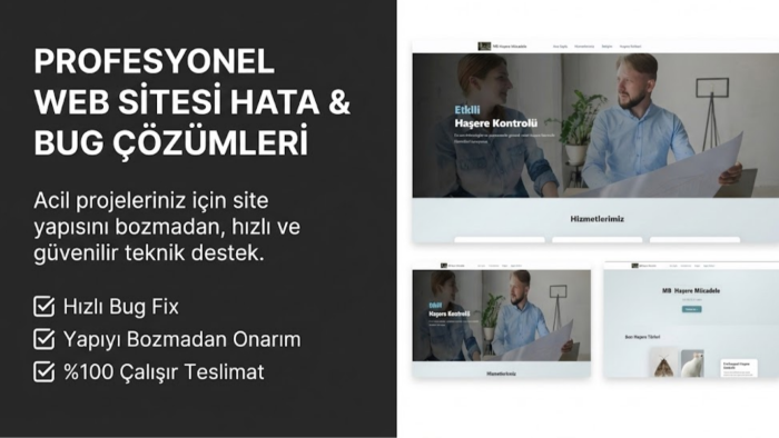 sizin web sitenizin hatalarını düzeltirim