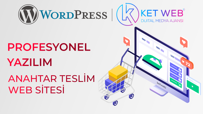 başlangıç seviyesinde wordpress blog veya site kurabilirim