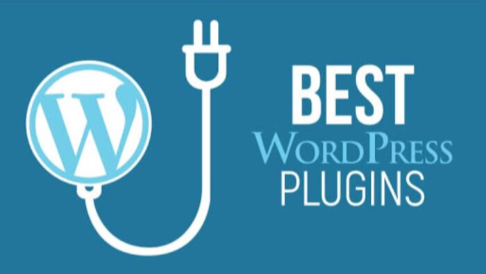 wordpress eklentisi yaparım