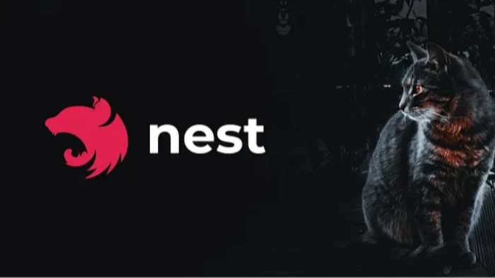 Nest.js framework'ü ile sizlere destek veririm