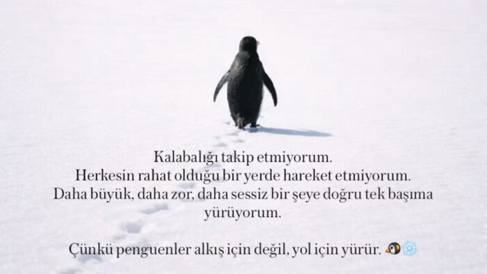uzman olduğum logo tasarlama konusunda sizlere yardım ederim