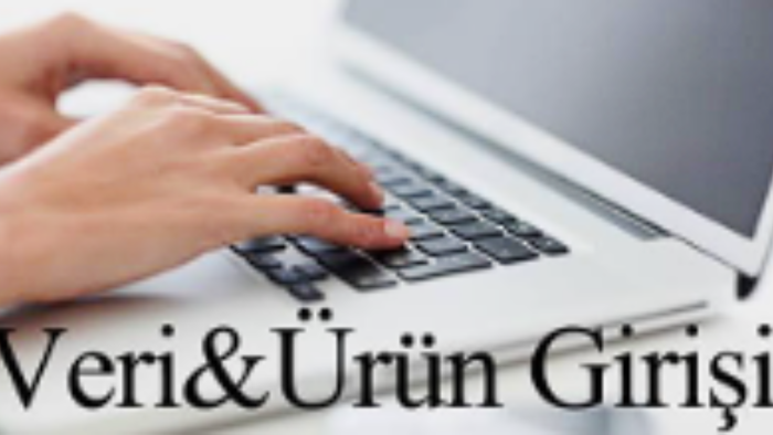  e-ticaret sitelerinize  toplu ürün veri girişi yapabilirim