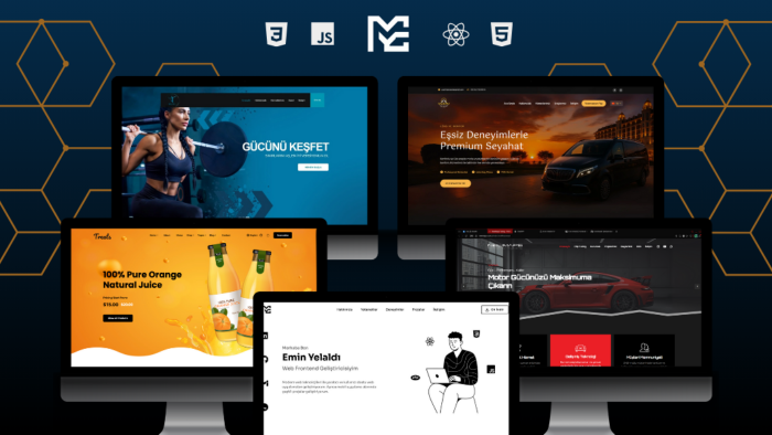 profesyonel web geliştirme yapabilirim