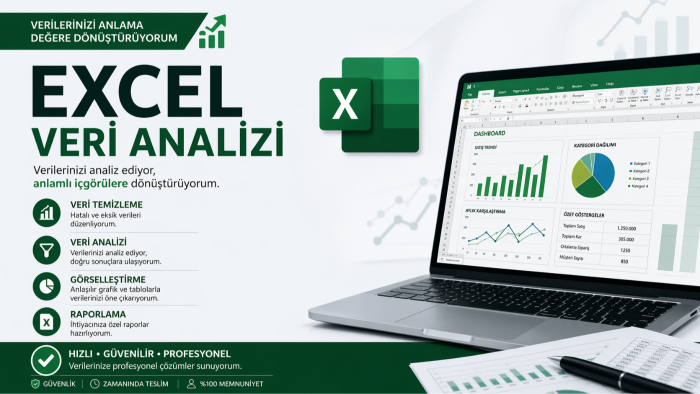verilerinizi temizler analiz eder ve raporlarım