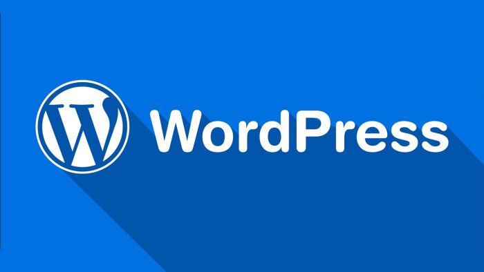 Wordpress sitenizde ki problemleri çözebilirim