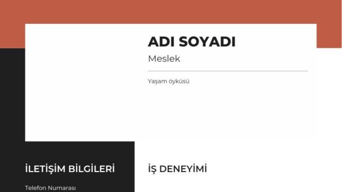 özgeçmişinizi etkileyici bir şekilde hazırlarım
