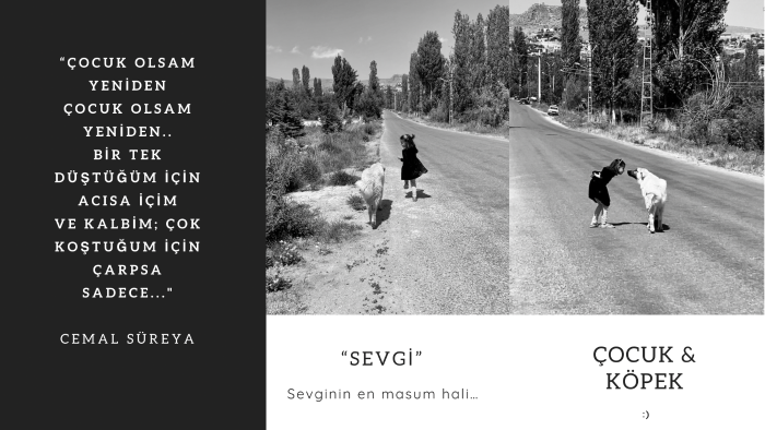 iyi broşür tasarlarım