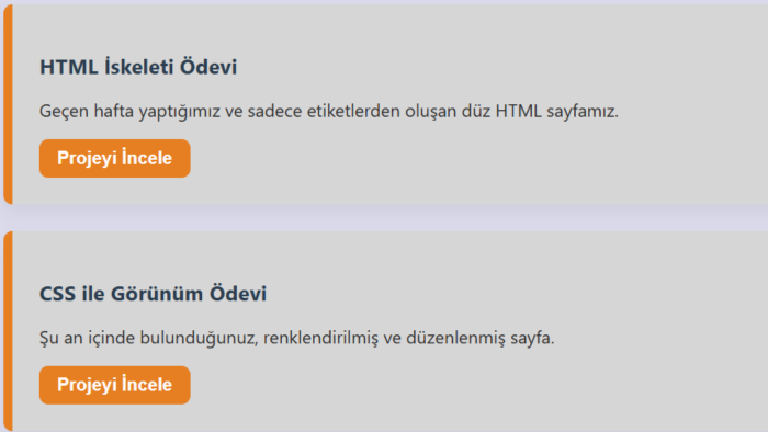yazılım yaparım