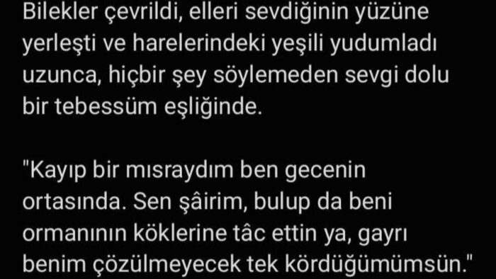 dile dökemediklerinizi edebi bir dille yazarım