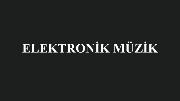 istediğiniz elektronik müziği size yapabilirim