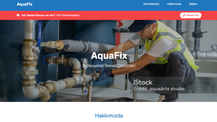 sizin için anahtar teslim websitesi hazırlayabilirim