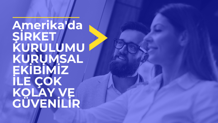 Amerikada LLC şirket kuruluşu için danışmanlık yaparım