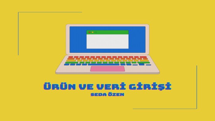 sizin için veri girişi yapabilirim