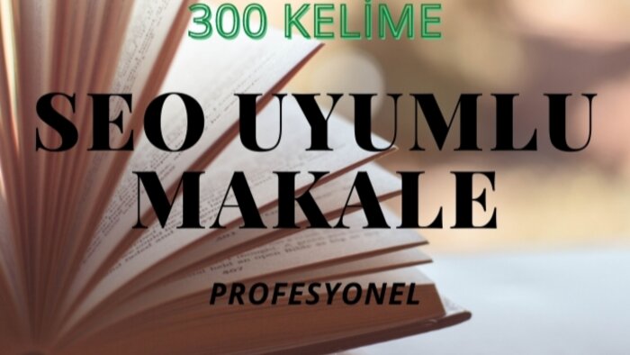 Seo uyumlu makale yazarım