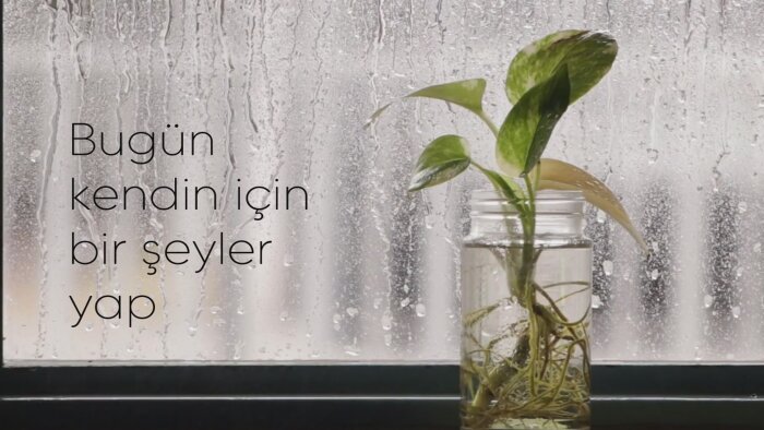 sosyal medyanız için hareketli görseller hazırlayabilirim