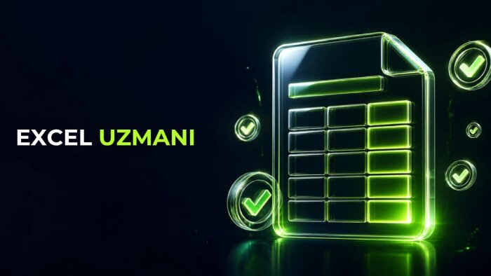Excel  verilerinizi düzenleyip hatasız girerim