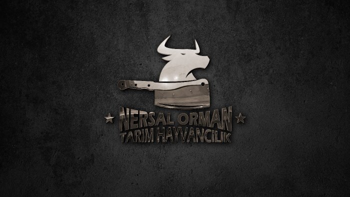 istediğiniz tarzda logoyu tasarlayabilirim
