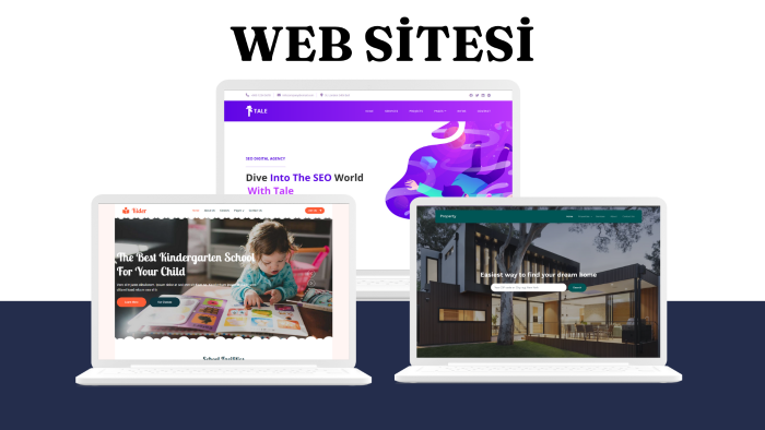 sizin için profesyonel web sitesi yaparım