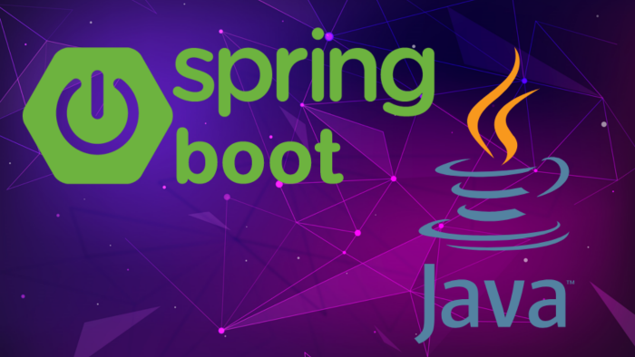 java ve spring boot kullanarak projelerinizi yapabilirim