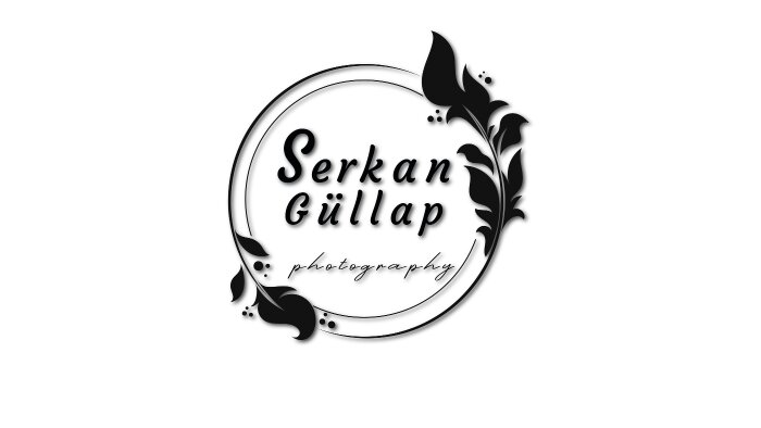 firmanıza en uygun marka ismi slogan ve logo oluşturabilirim