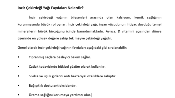 İngilizce, Türkçe yazılarınızı word dosyasına aktarabilirim