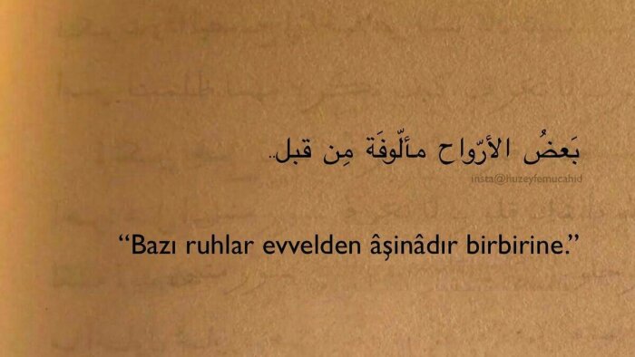  Arapça metinleri kusursuz şekilde Türkçeye çevirebilirim