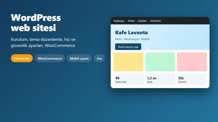 WordPress web sitenizi kurar, düzenler ve hızlandırırım