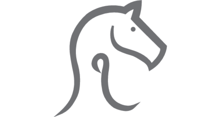 profesyonel ve yaratıcı logo tasarımı yaparım