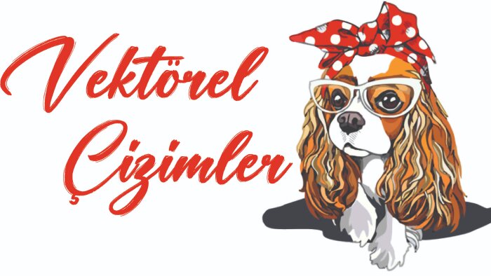 çizim tasarımı yapabilirim