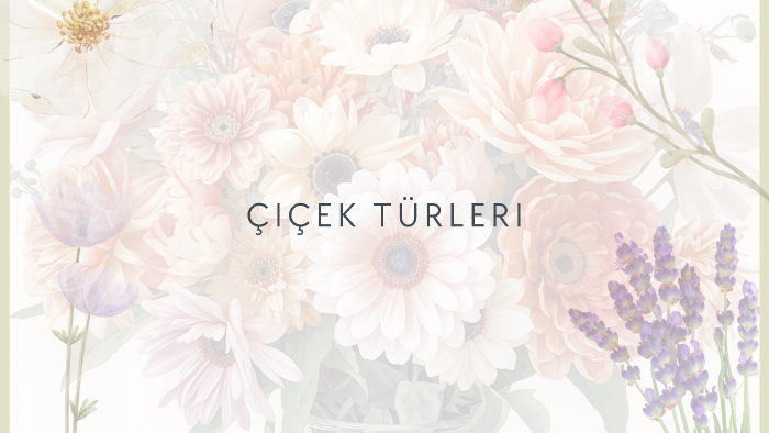 sıfırdan görsel destekli kaliteli sunumlar hazırlarım