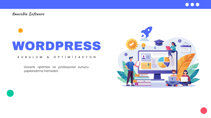 WordPress kurulum ve optimizasyon hizmeti sunuyorum