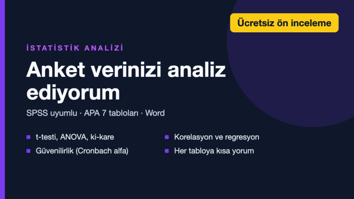 SPSS ve anket verinizi analiz eder, APA tabloları hazırlarım