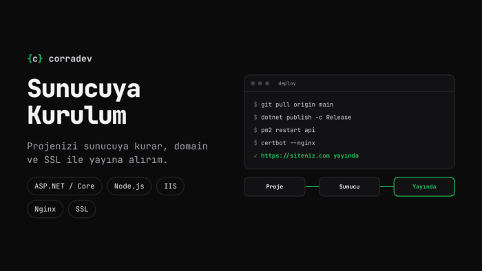 ASP.NET ve Node.js projenizi sunucuya kurup yayına alırım