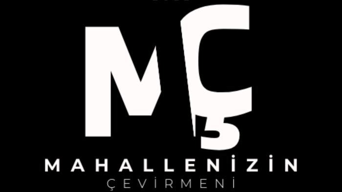 profesyonel bir şekilde Türkçe ve İngilizce çeviri yapıyorum