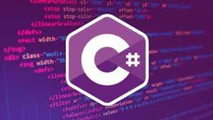 c# proje setup hazırlarım
