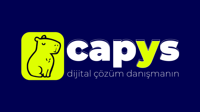 markanıza özel bir logo tasarlıyorum