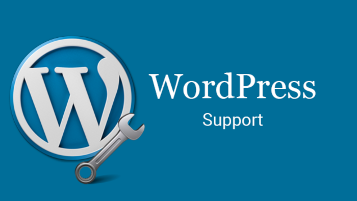 profesyonel WordPress tasarımı ve destek sağlayabilirim