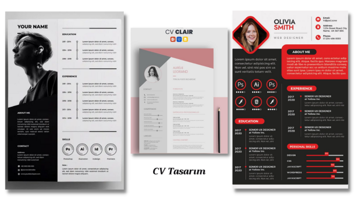 sizi iş alımında bir adım öne taşıyan cv tasarımları yaparım