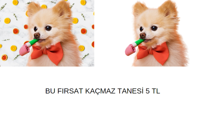 arka plan kaldırabilirim