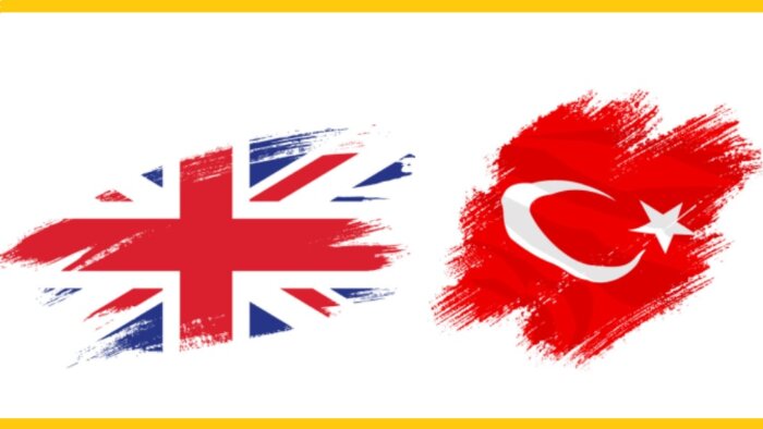 ingilizce günlük çeviri ve akademik çeviri yaparım