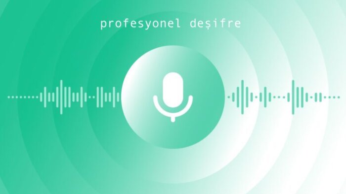 profesyonel olarak ses kayıtlarını hatasız deşifre yaparım